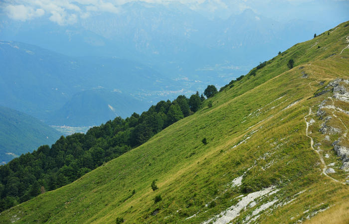 escursione dorsale CimaGrappa-Solaroli / Croce dei Lebi Col dell'Orso Salarolo Valderoa Fontanasecca Val delle Mure Cason del Sole Pian di Bala Val Vecia
