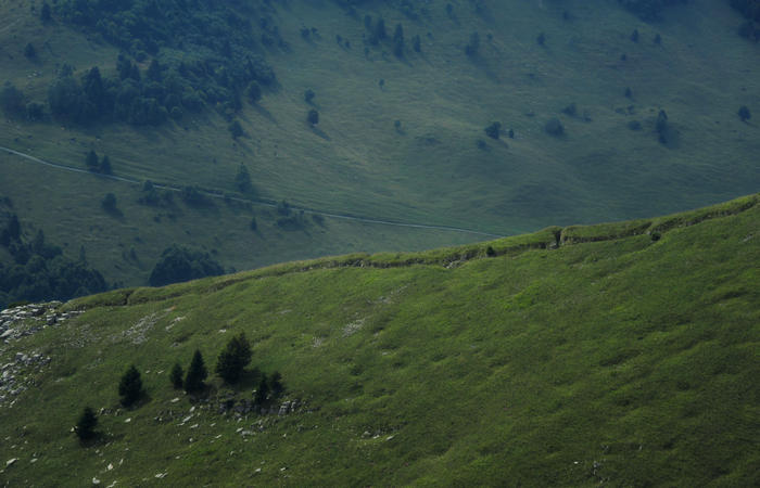 escursione dorsale CimaGrappa-Solaroli / Croce dei Lebi Col dell'Orso Salarolo Valderoa Fontanasecca Val delle Mure Cason del Sole Pian di Bala Val Vecia