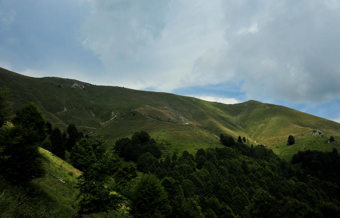 escursione dorsale CimaGrappa-Solaroli / Croce dei Lebi Col dell'Orso Salarolo Valderoa Fontanasecca Val delle Mure Cason del Sole Pian di Bala Val Vecia