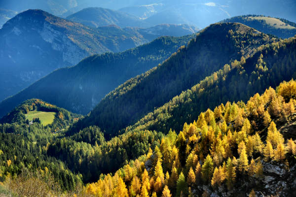 val Viosa, Palon Cavallara, Sternozzena, Orena Tolv&agrave;