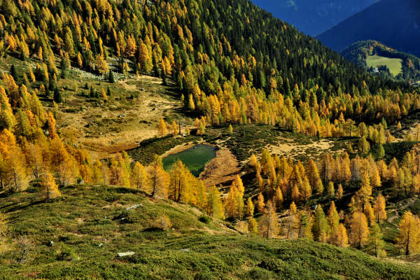 val Viosa, Palon Cavallara, Sternozzena, Orena Tolv&agrave;