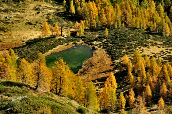 val Viosa, Palon Cavallara, Sternozzena, Orena Tolv&agrave;
