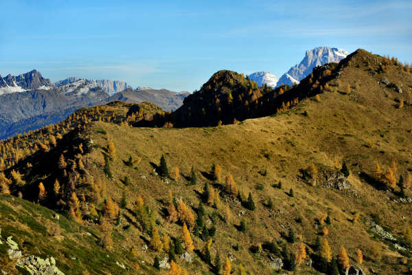 val Viosa, Palon Cavallara, Sternozzena, Orena Tolv&agrave;