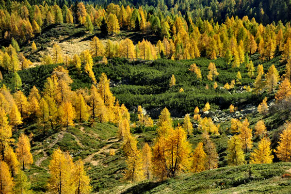 val Viosa, Palon Cavallara, Sternozzena, Orena Tolv&agrave;