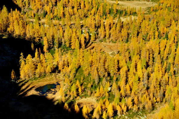 val Viosa, Palon Cavallara, Sternozzena, Orena Tolv&agrave;
