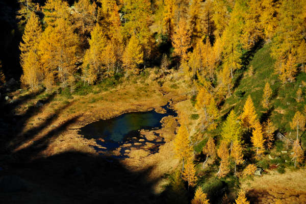 val Viosa, Palon Cavallara, Sternozzena, Orena Tolv&agrave;