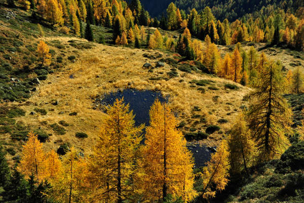 val Viosa, Palon Cavallara, Sternozzena, Orena Tolv&agrave;