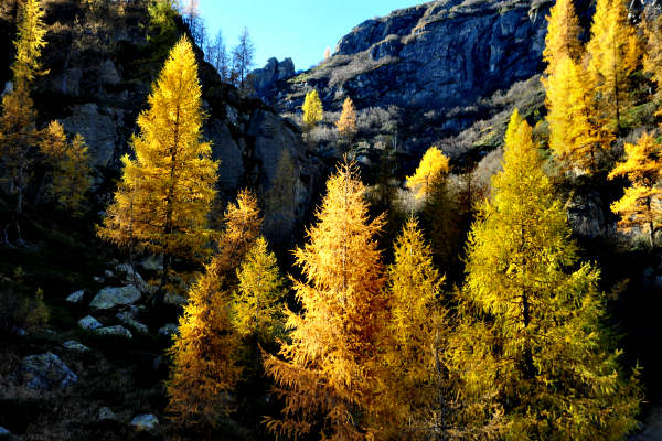 val Viosa, Palon Cavallara, Sternozzena, Orena Tolv&agrave;