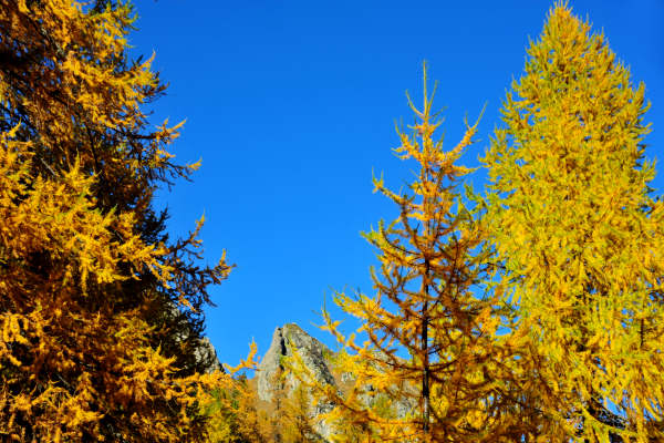 val Viosa, Palon Cavallara, Sternozzena, Orena Tolv&agrave;