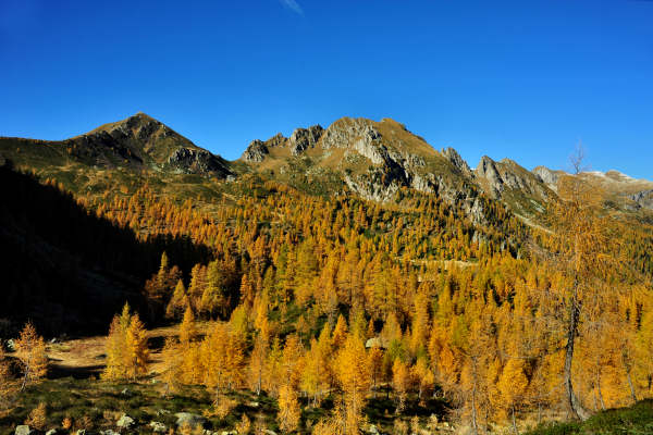 val Viosa, Palon Cavallara, Sternozzena, Orena Tolv&agrave;