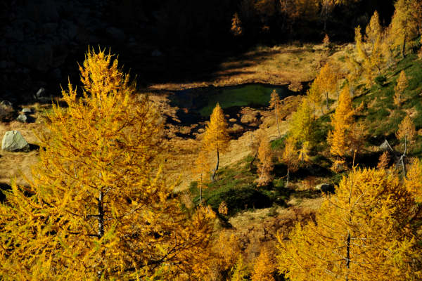 val Viosa, Palon Cavallara, Sternozzena, Orena Tolv&agrave;