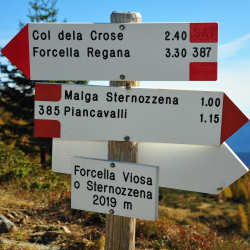 forcella Viosa Sternozzena, Orena Tolv&agrave;