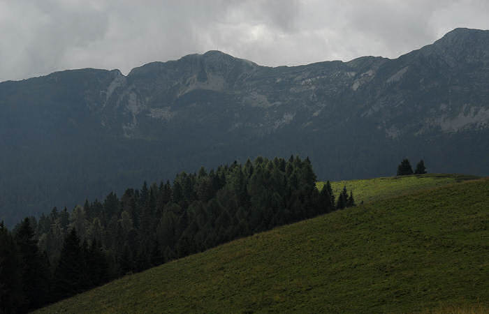 salita al monte Coppolo dal passo del Brocon