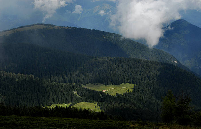 salita al monte Coppolo dal passo del Brocon