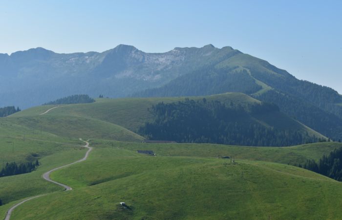 Lagorai, passo Brocon, Sentiero dei Fiori al Col del Boia