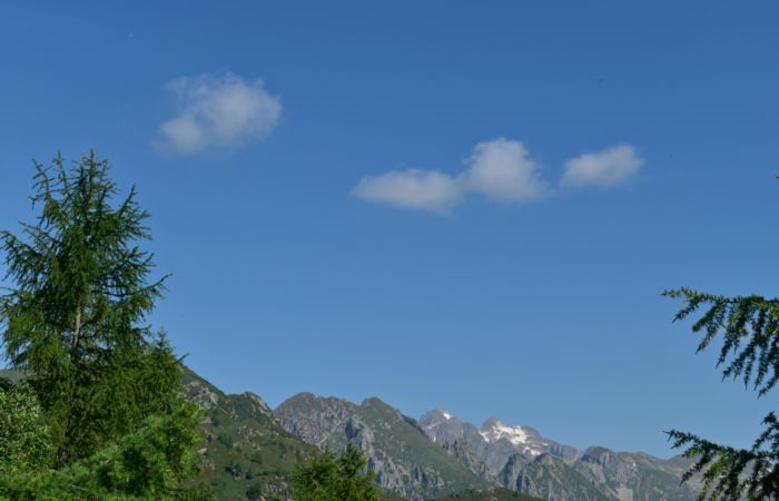 Lagorai, passo Brocon, Sentiero dei Fiori al Col del Boia