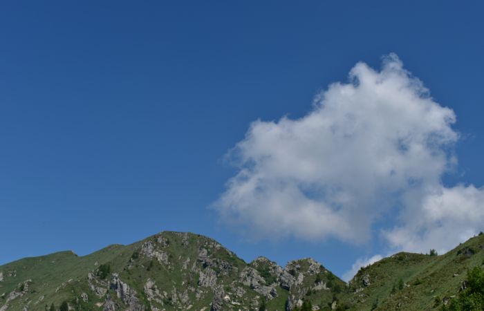 Lagorai, passo Brocon, Sentiero dei Fiori al Col del Boia