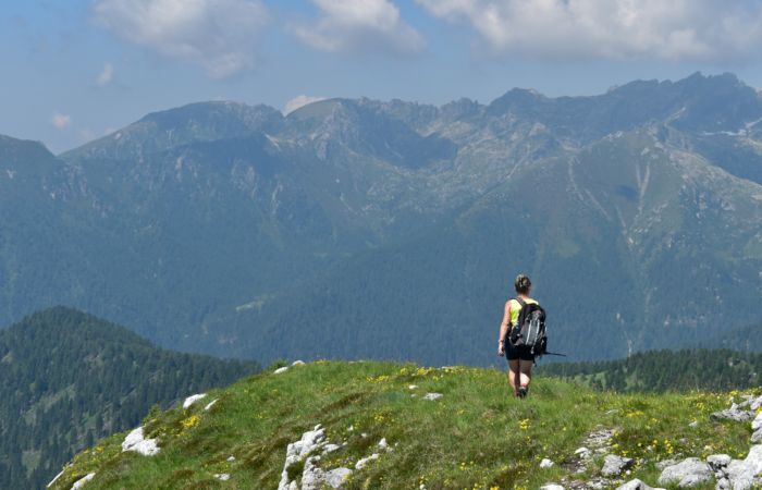 Lagorai, passo Brocon, Sentiero dei Fiori al Col del Boia
