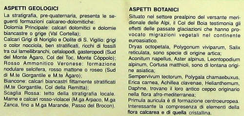 Trodo dei Fiori, sentiero botanico al passo Brocon, Castello Tesino