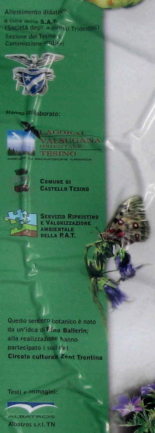 Trodo dei Fiori, sentiero botanico al passo Brocon, Castello Tesino