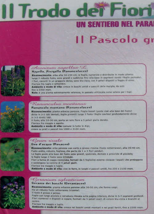 Trodo dei Fiori, sentiero botanico al passo Brocon, Castello Tesino