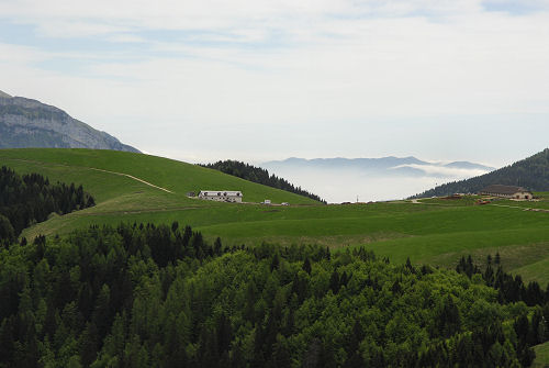 Sentiero botanico dei fiori al passo Brocon, Lagorai