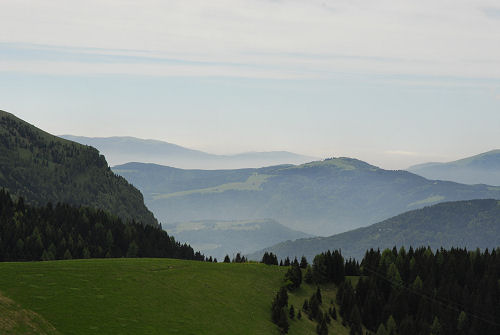 Sentiero botanico dei fiori al passo Brocon, Lagorai