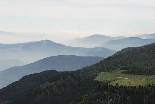 Sentiero botanico dei fiori al passo Brocon, Lagorai
