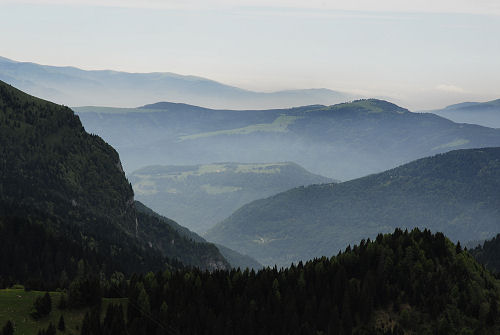 Sentiero botanico dei fiori al passo Brocon, Lagorai