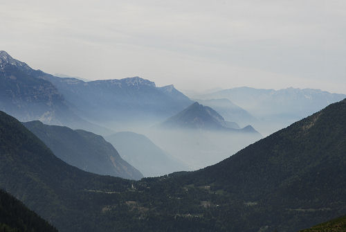 Sentiero botanico dei fiori al passo Brocon, Lagorai
