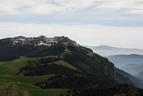 Sentiero botanico dei fiori al passo Brocon, Lagorai