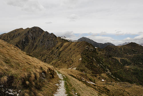 Sentiero botanico dei fiori al passo Brocon, Lagorai