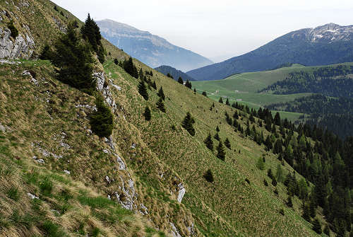 Sentiero botanico dei fiori al passo Brocon, Lagorai