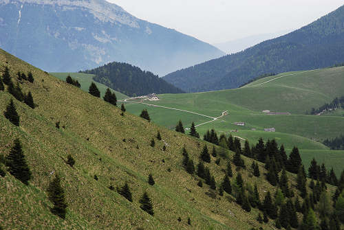 Sentiero botanico dei fiori al passo Brocon, Lagorai