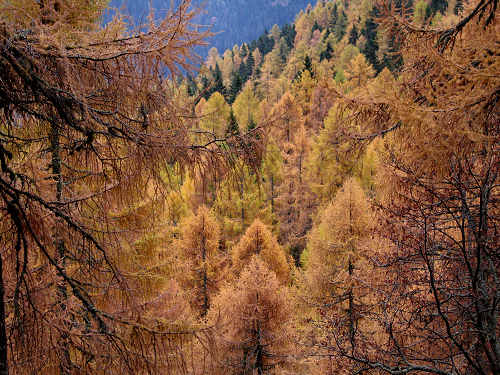 lago di Calaita - Lagorai, valle Vanoi Lozen