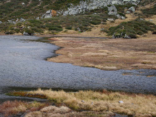 Lago delle Buse in alta Val Cadino al Manghen, Fiemme Lagorai