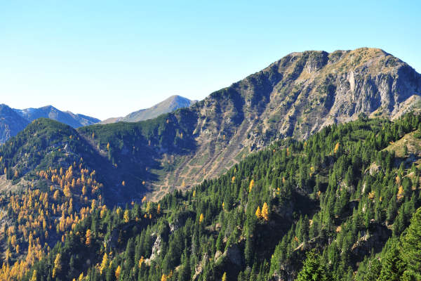 Val Calamento lungo la strada del Passo Manghen, Lagorai