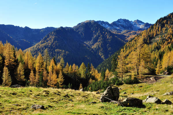 Val Calamento lungo la strada del Passo Manghen, Lagorai