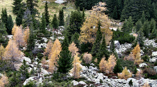 Val Cadino e Passo Manghen - Catena del Lagorai