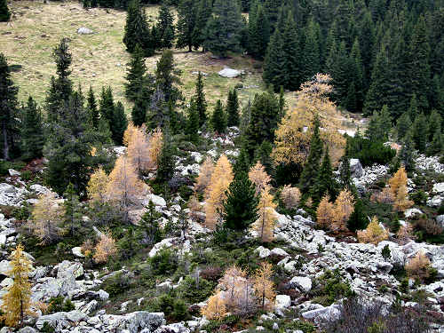 Lagorai, passo Manghen, val Calamento, val Cadino di Fiemme