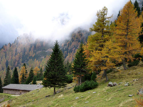 Lagorai, passo Manghen, val Calamento, val Cadino di Fiemme