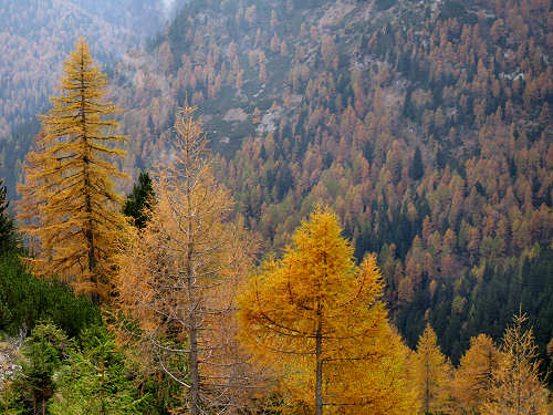 Lagorai, passo Manghen, val Calamento, val Cadino di Fiemme