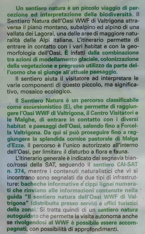 Oasi WWF Valtrigona