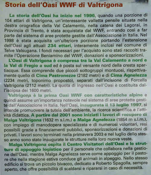 Oasi WWF Valtrigona