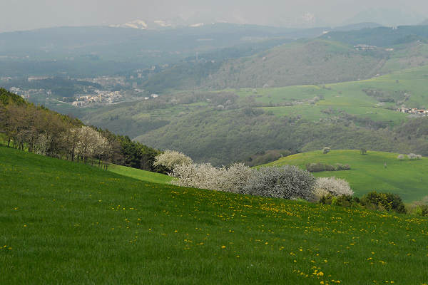 Cerro Veronese, monte Santa Viola, Lessini