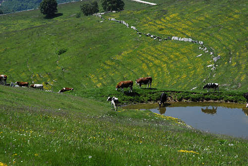 Parpari, Camposilvano, Velo Veronese, monti Lessini