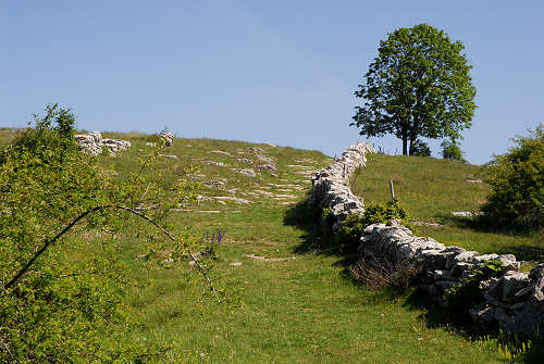 Valle delle Sfingi, Camposilvano, Velo Veronese, Parco Naturale Regionale dei monti Lessini