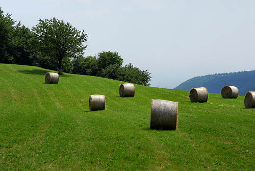 monte Crocetta, monte Pastelletto, Breonio di Fumane - Lessini, Montagna Veronese