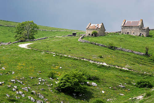 Madonna della Lobbia, Campofontana, Pagani, malga Lobbia