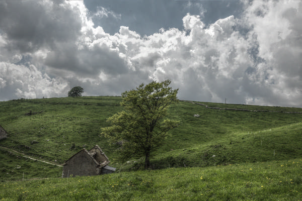 Madonna delle Lobbie a malga Lobbia, Pagani Campofontana, Selva di Progno